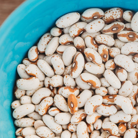 Jacob's Cattle Gold Shelling Bean Seeds