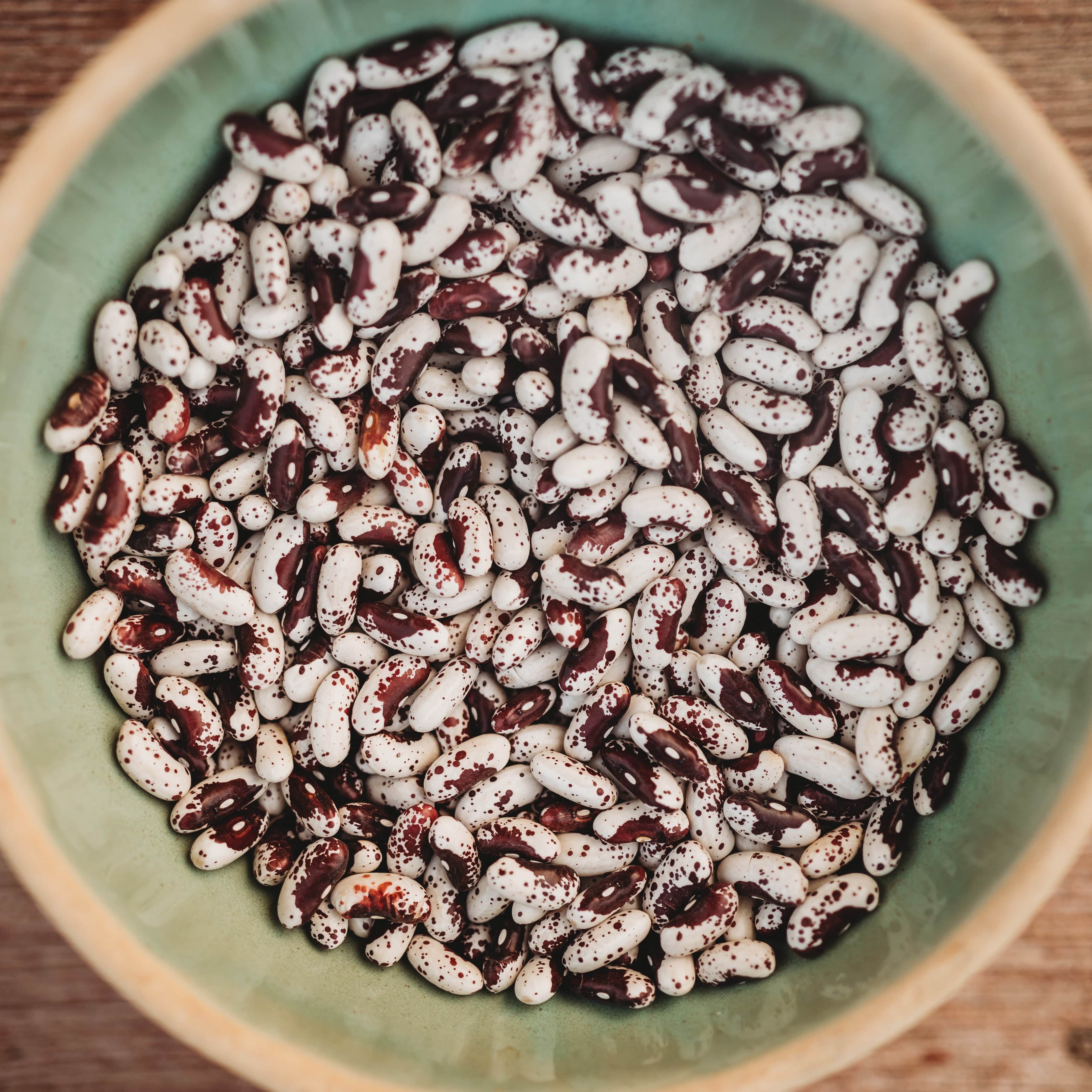 Jacob's Cattle Shelling Bean Seeds