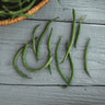 Jade Snap Bush Bean