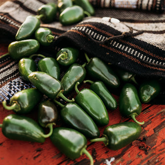 Jalapeno Traveler Strain