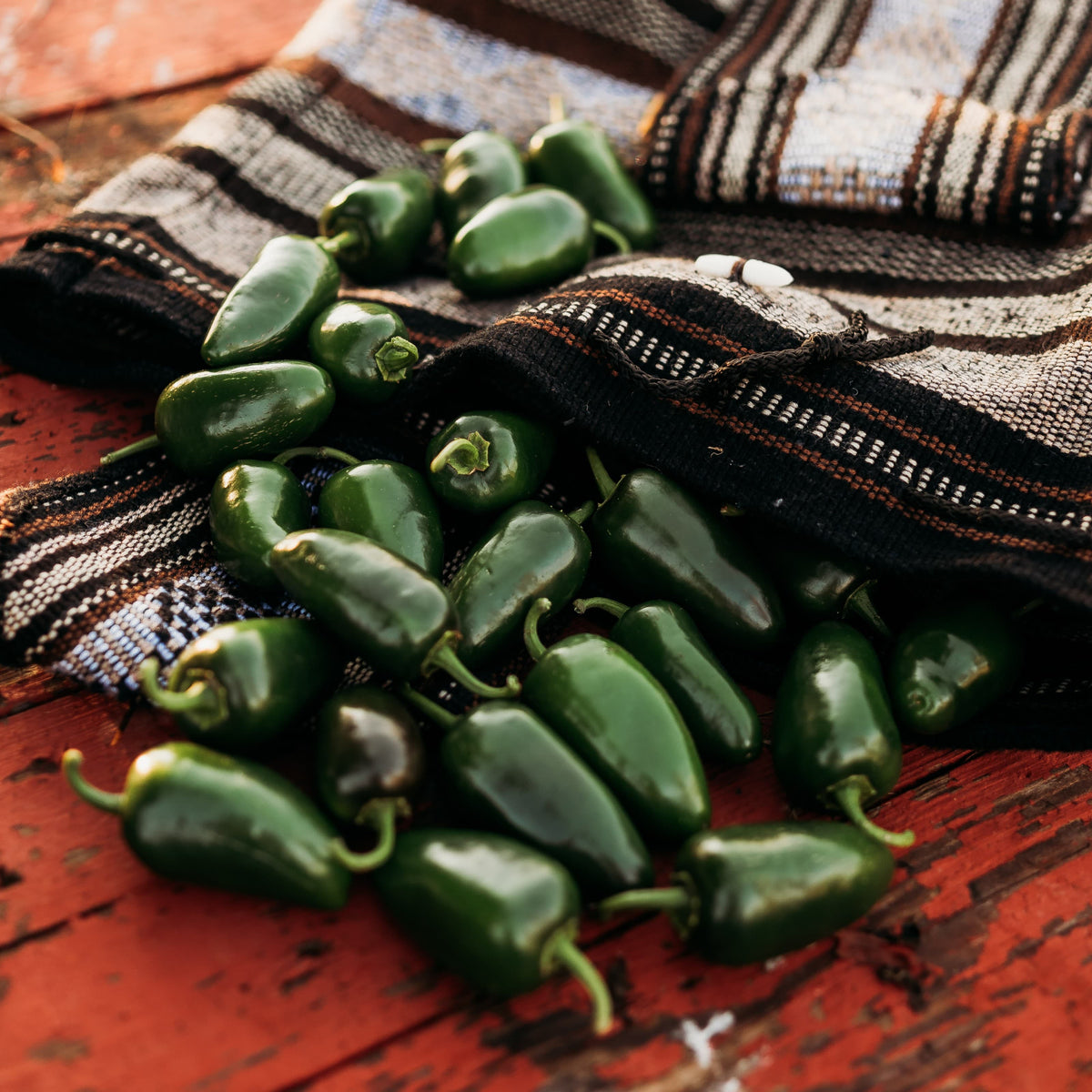 Jalapeno Traveler Strain