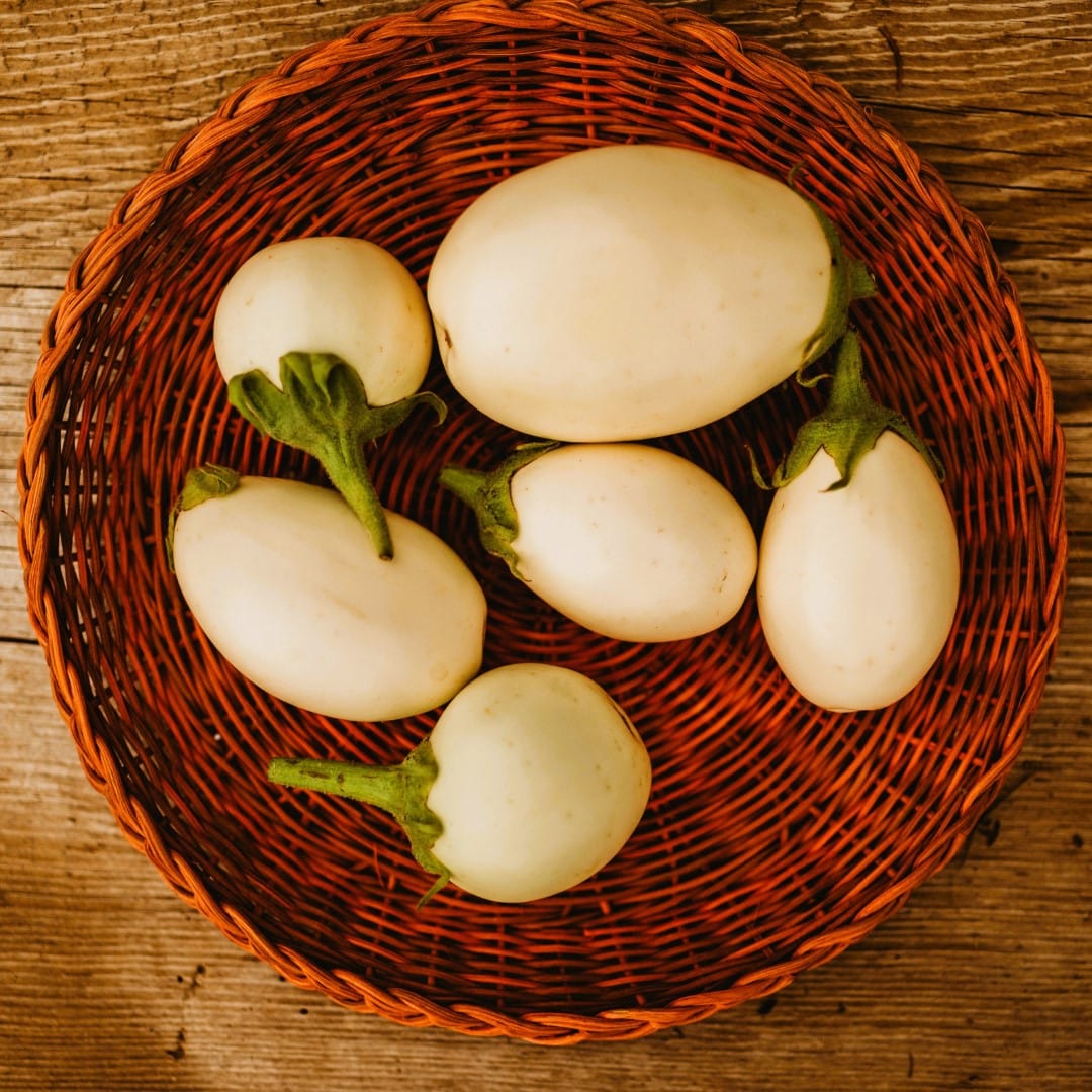 Japanese White Egg