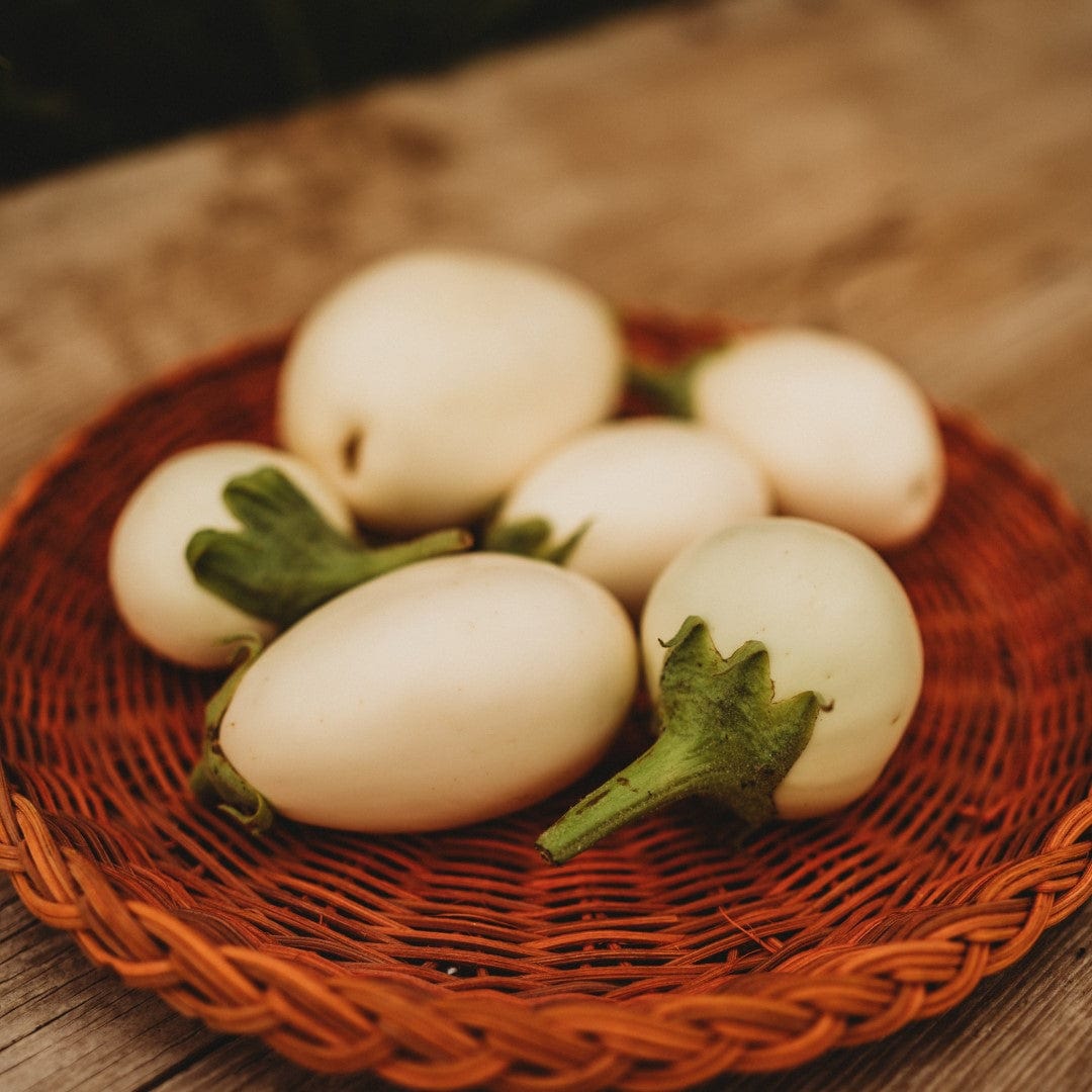 Japanese White Egg