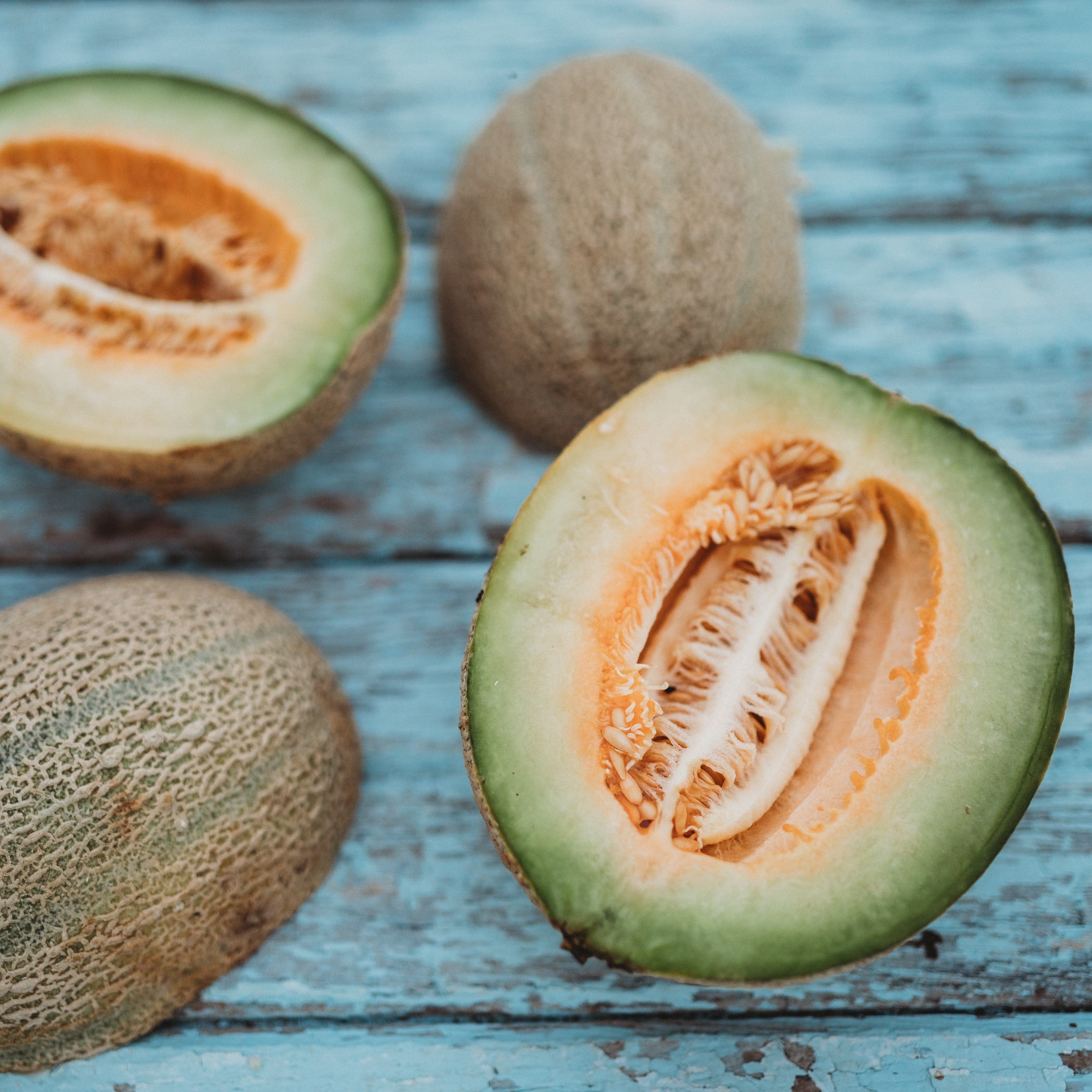 melonページ☆ Jenny Lind Melon - Thresh Seed Co.