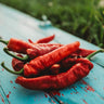Jimmy Nardello's Sweet Italian Pepper