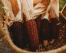 Jimmy Red Corn