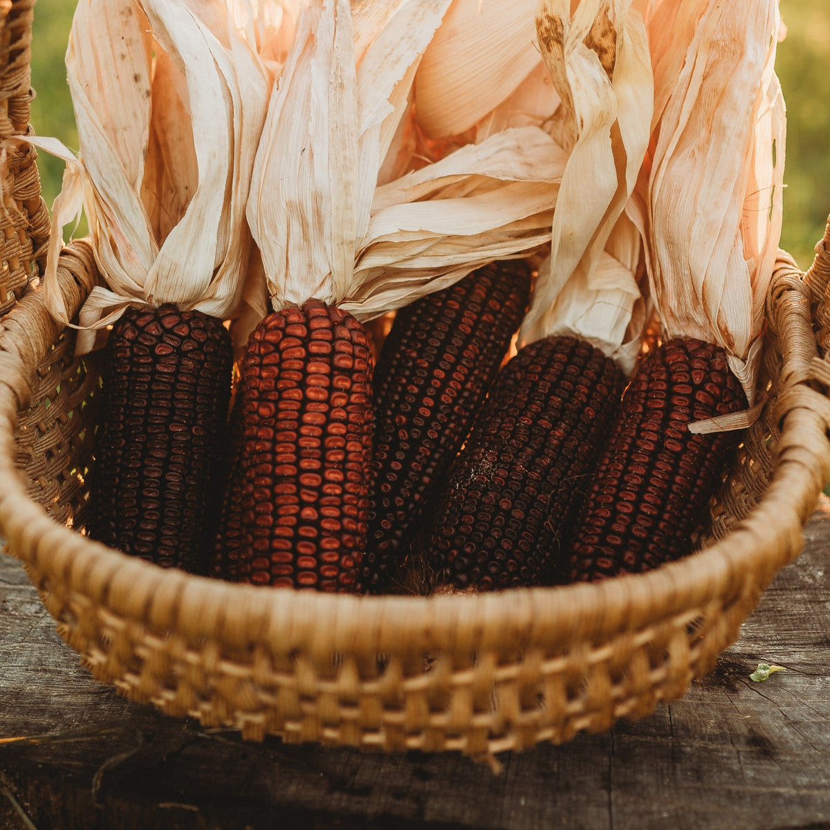 Jimmy Red Corn