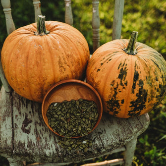 Kakai Hulless Oilseed Pumpkin