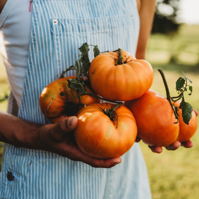 Kellogg's Breakfast Tomato