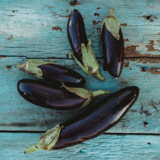 Kemer Eggplant