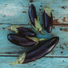 Kemer Eggplant