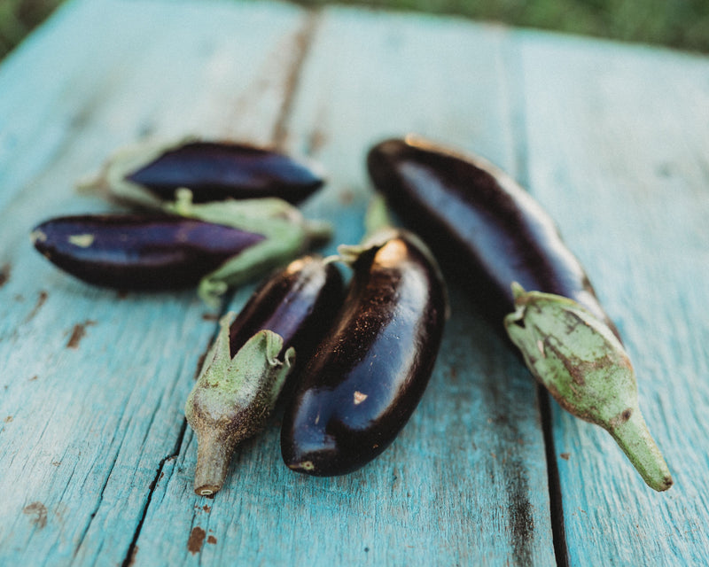 Kemer Eggplant