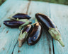 Kemer Eggplant