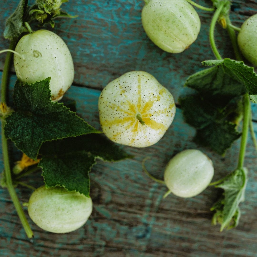 Lemon Cucumber Seeds