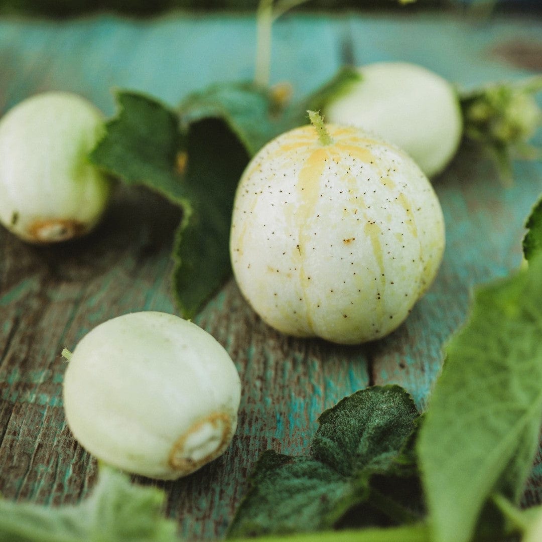 Lemon Cucumber Seeds