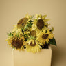 Lemon Queen Sunflower