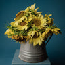 Lemon Queen Sunflower
