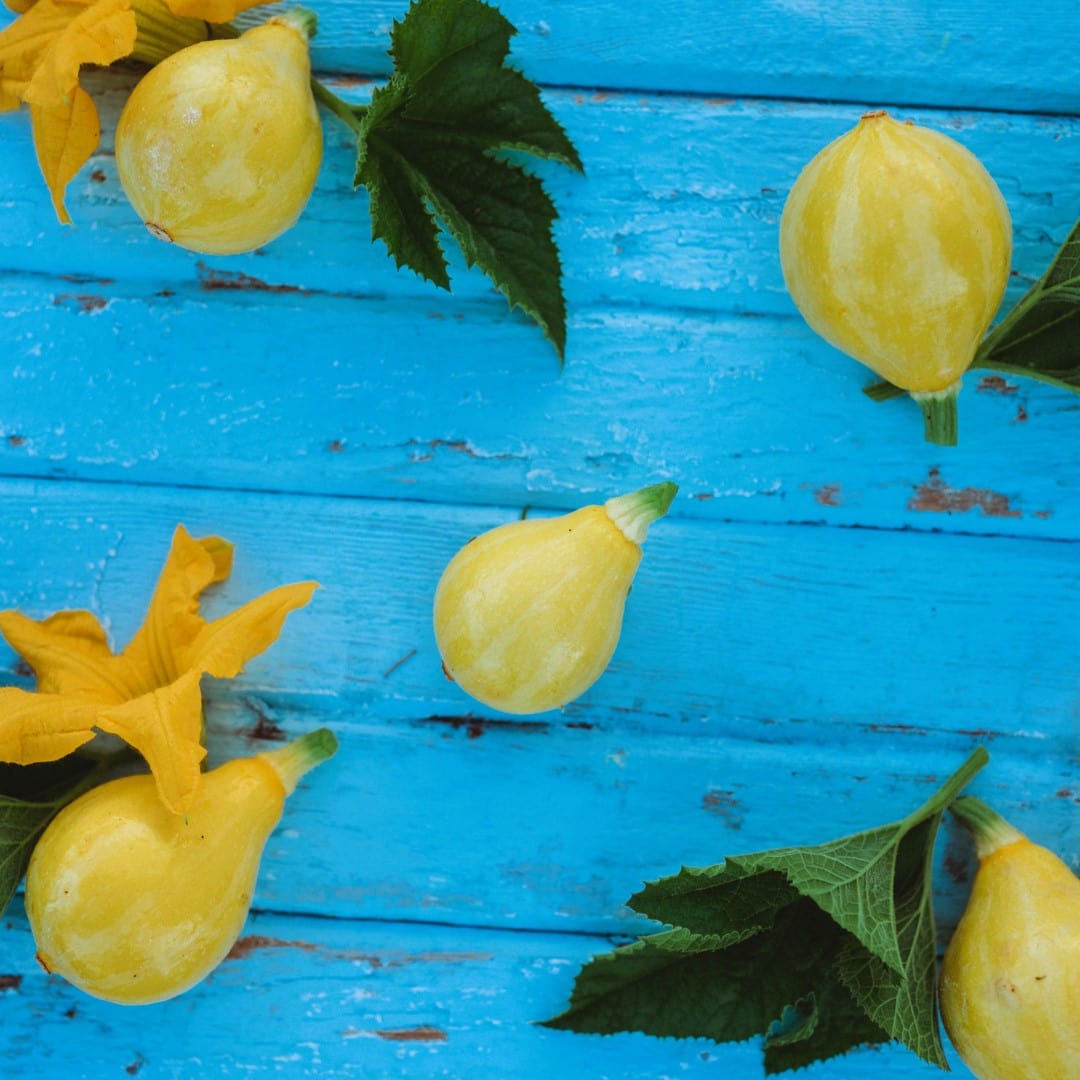 lemon-summer-squash-seeds-