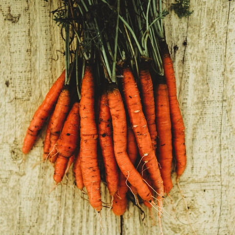 Little Fingers Carrot Seeds