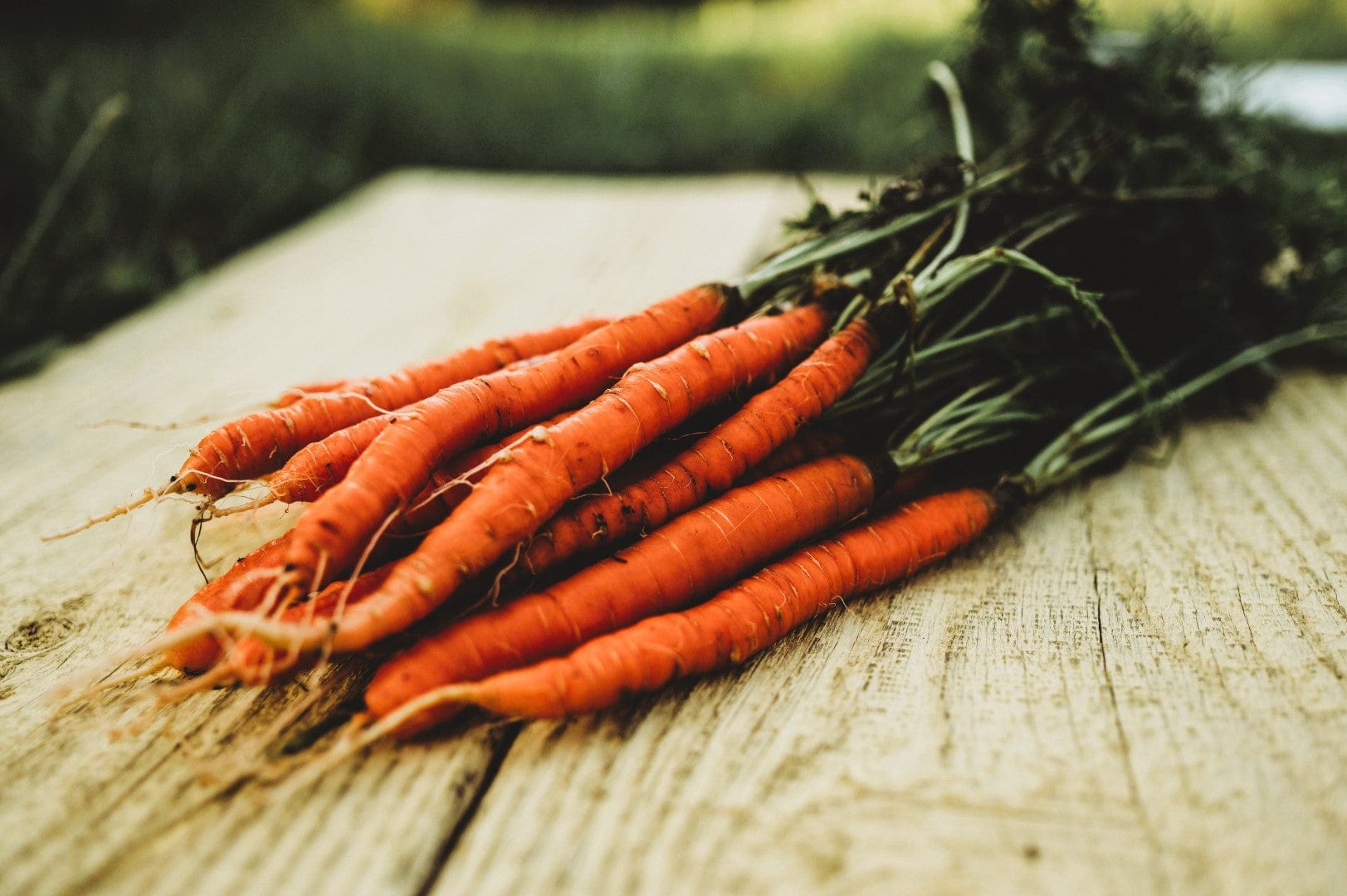 Little Fingers Carrot Seeds