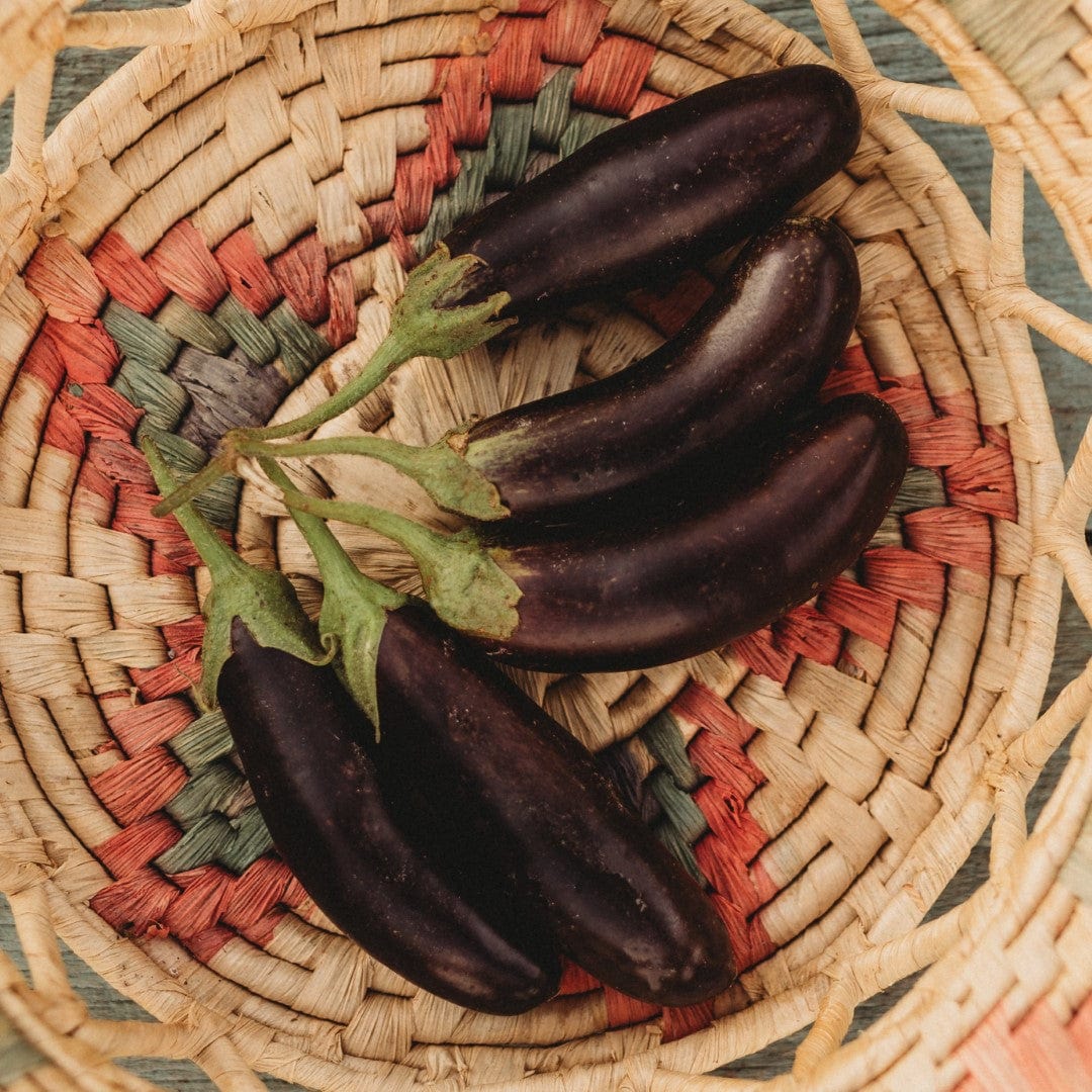 Little Fingers Eggplant