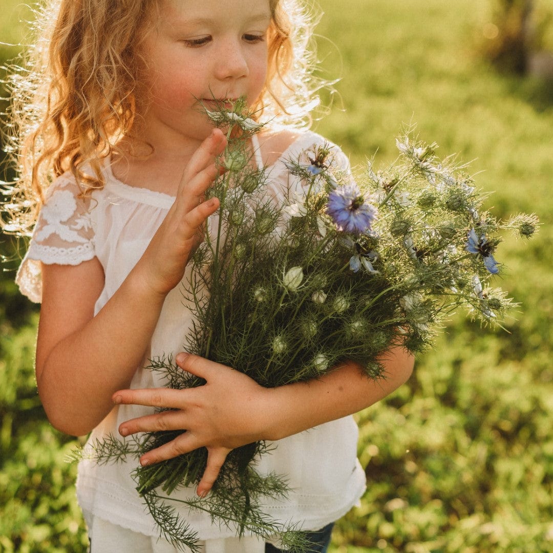 Love-in-a-mist