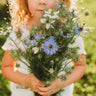 Love-in-a-mist