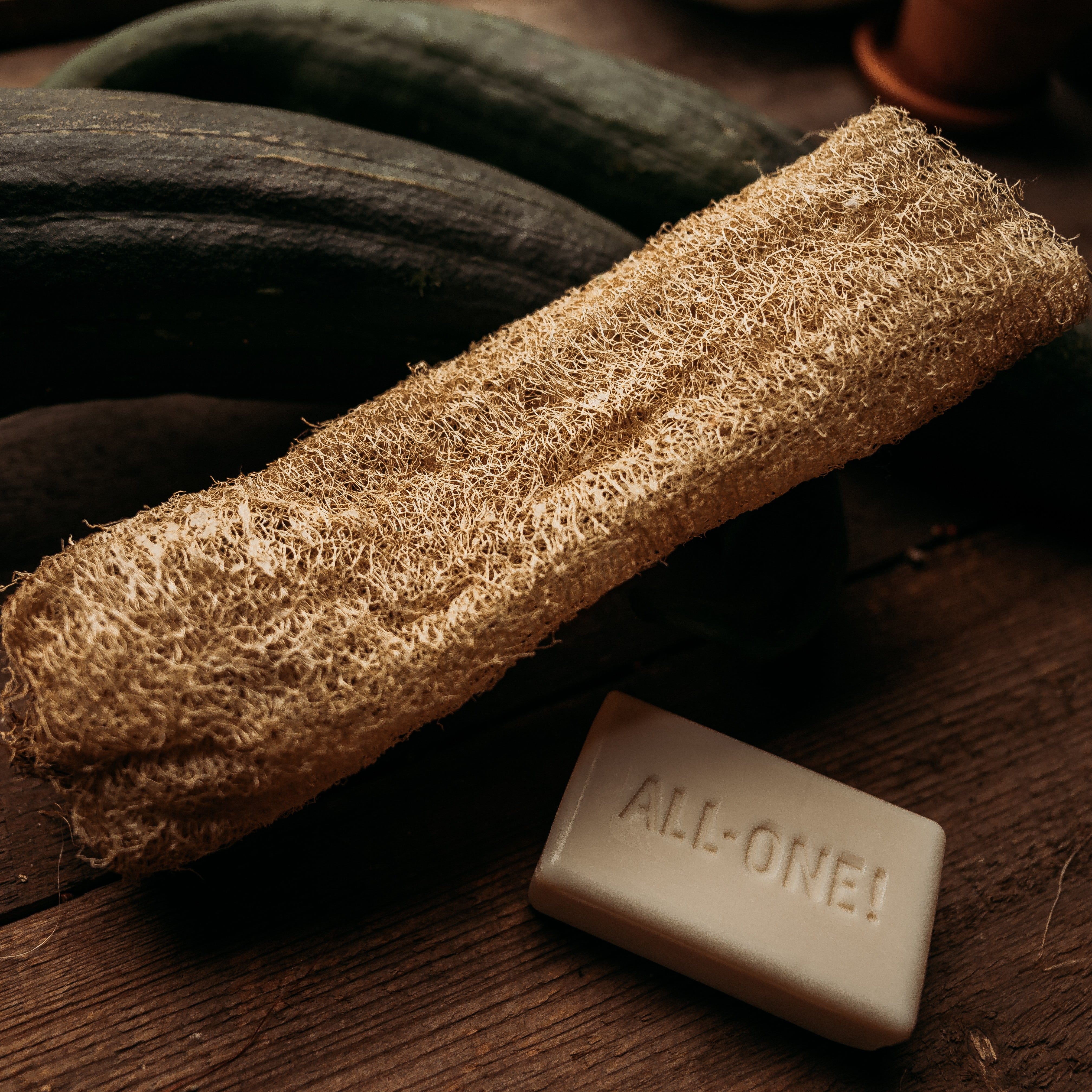 Thresh Seed Co. Luffa Gourd - Thumbnail 3