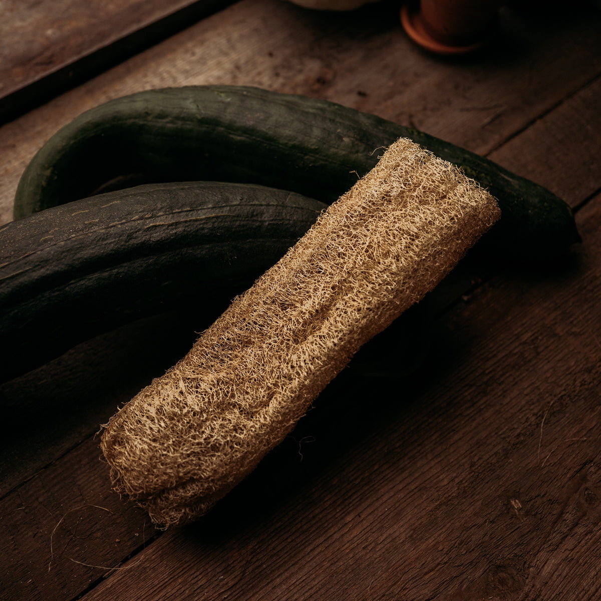 Luffa (Loofah) Dishcloth Gourd