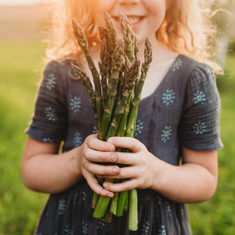 Mary Washington Asparagus