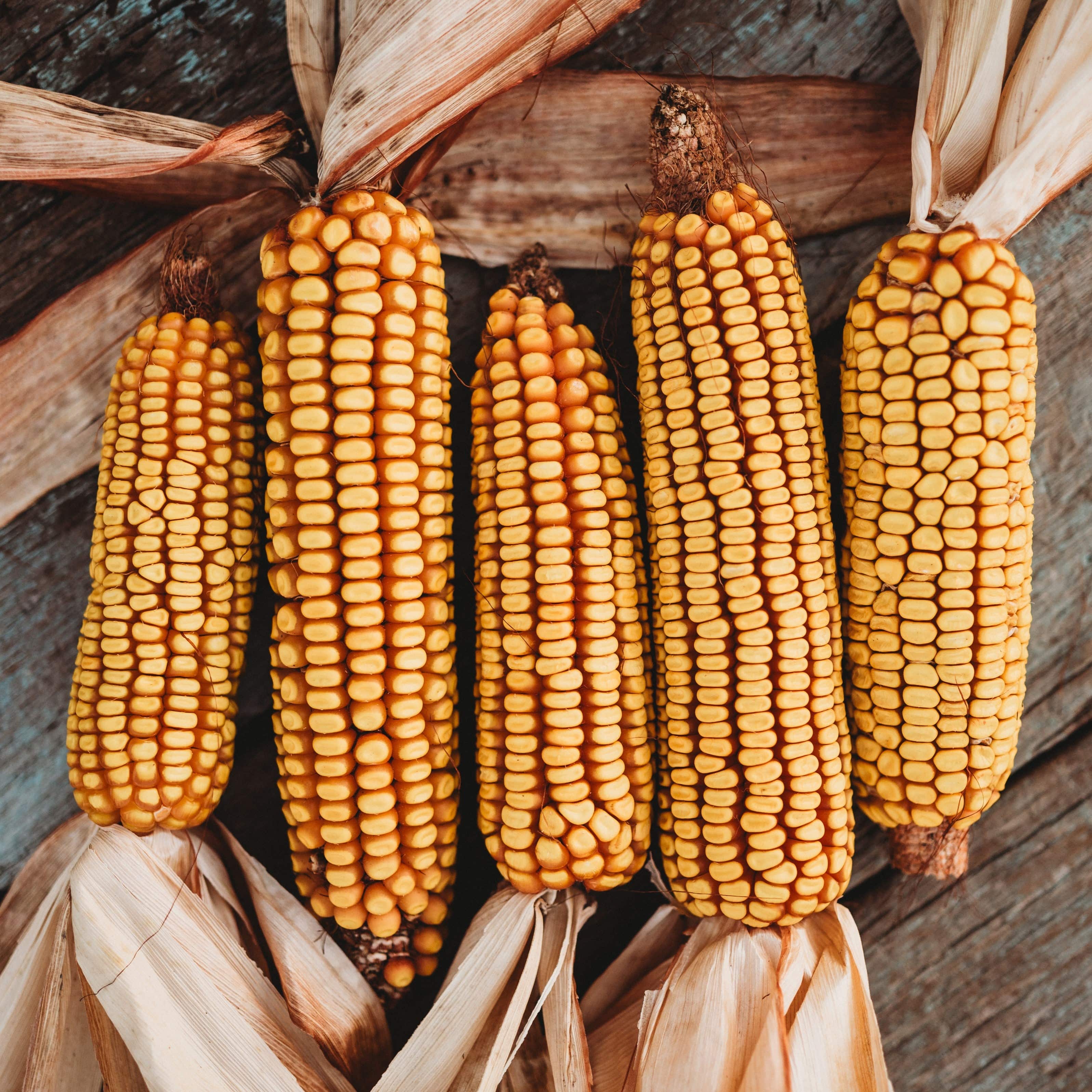 nana corn PACK OF 5] NAN NANACORN 50g 난 나나콘 50g – SUNSHINEMALL