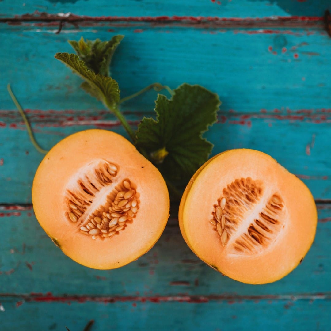 Minnesota Midget Muskmelon Seeds