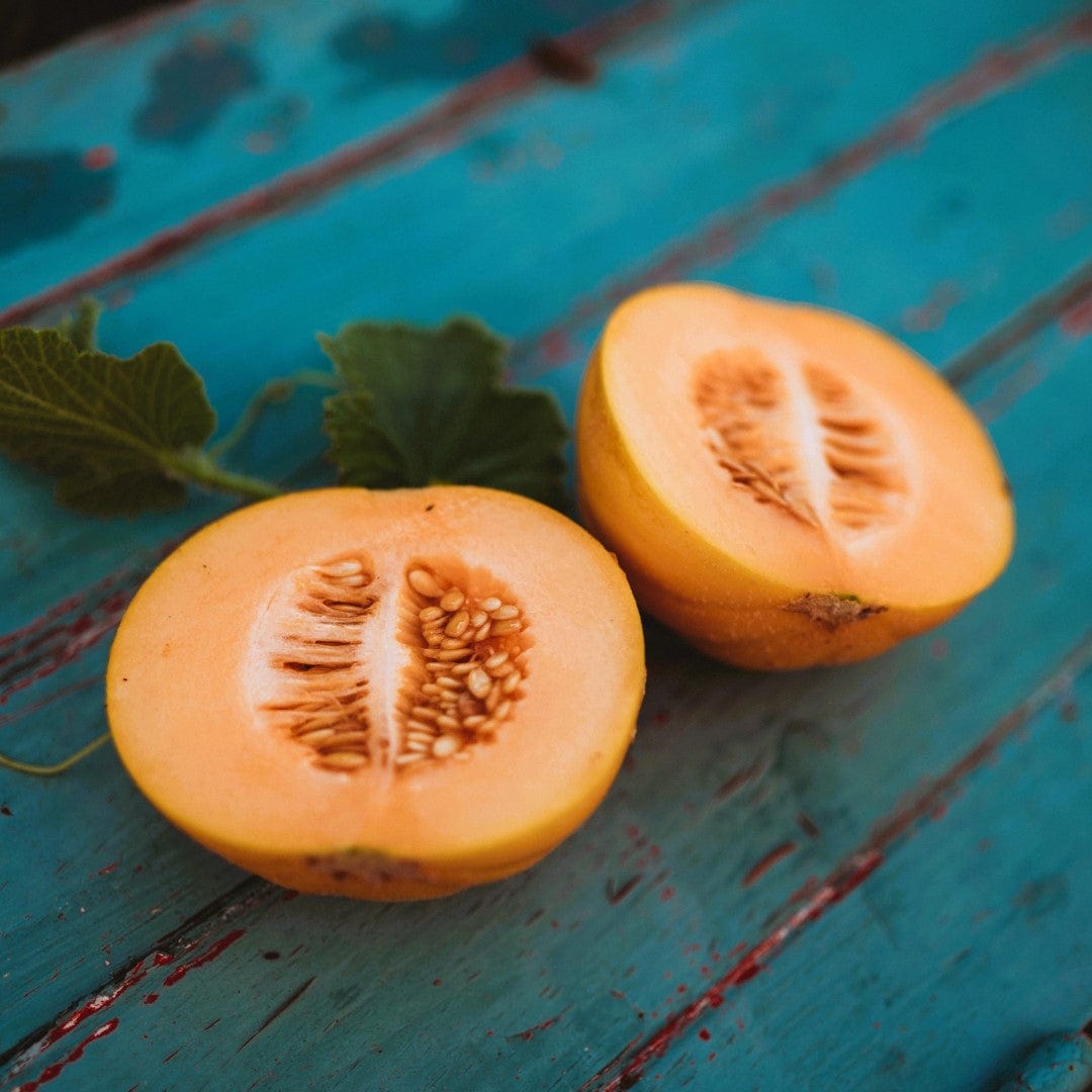 Minnesota Midget Muskmelon Seeds