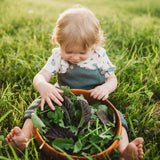Momma's Braising Greens Mix Seeds