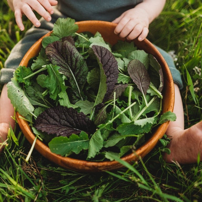 Momma&#39;s Braising Greens Mix