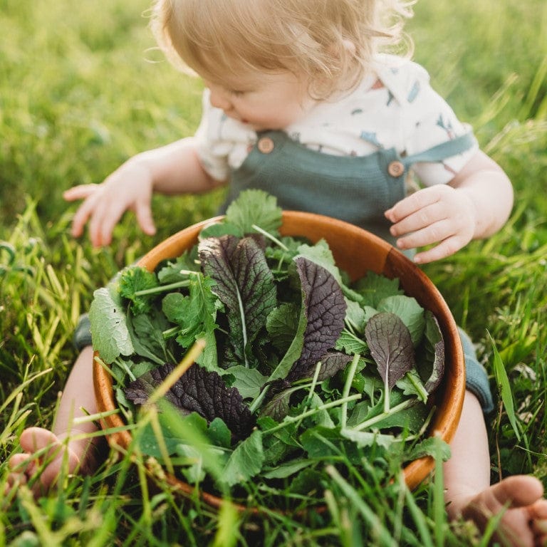 Momma&#39;s Braising Greens Mix