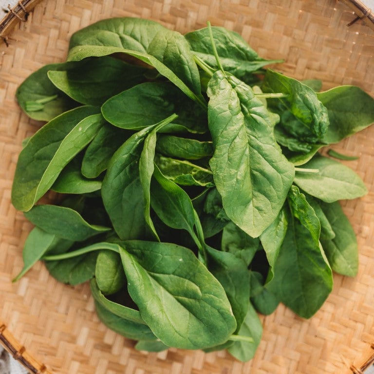 Monstrueux de Viroflay Spinach