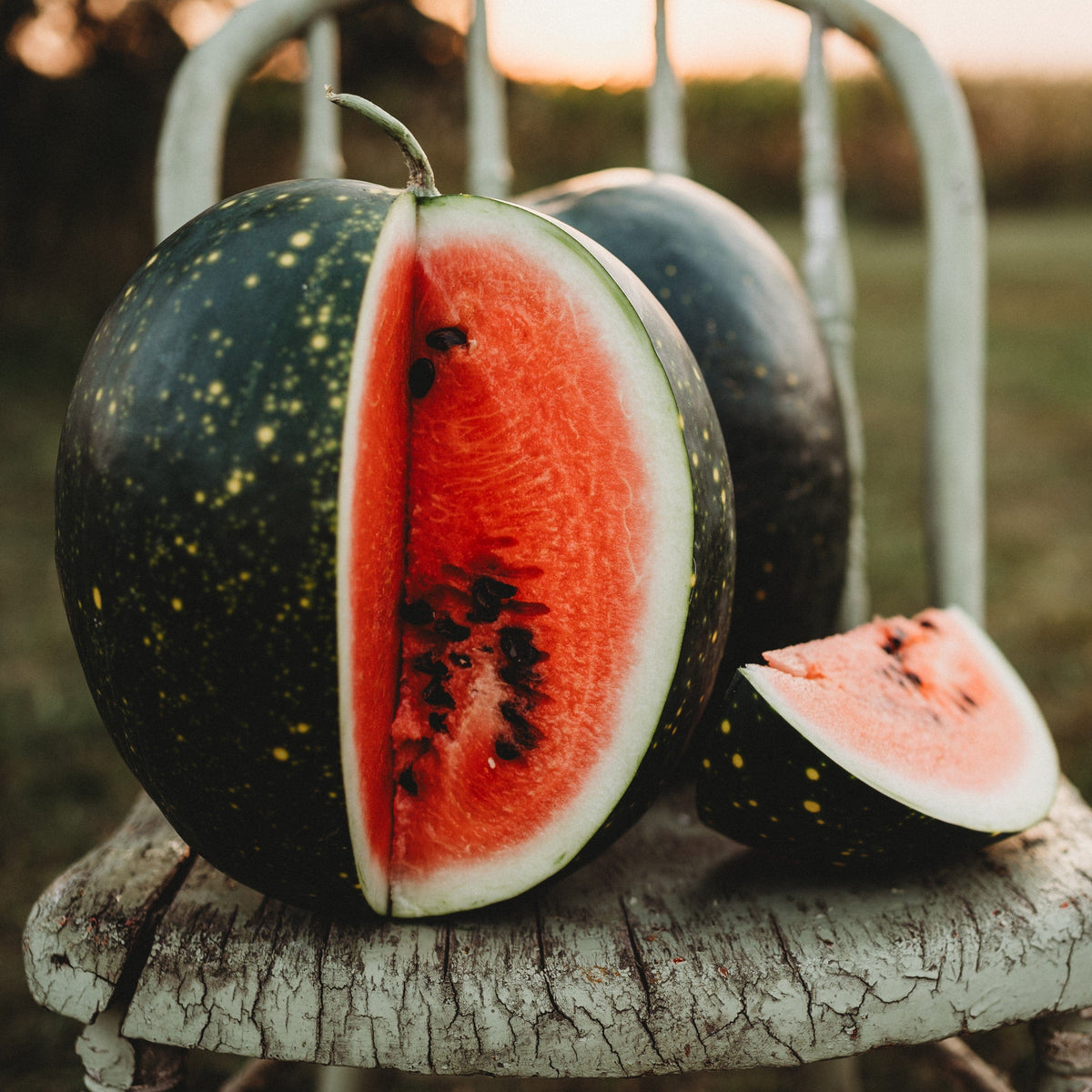 Moon and Stars Watermelon