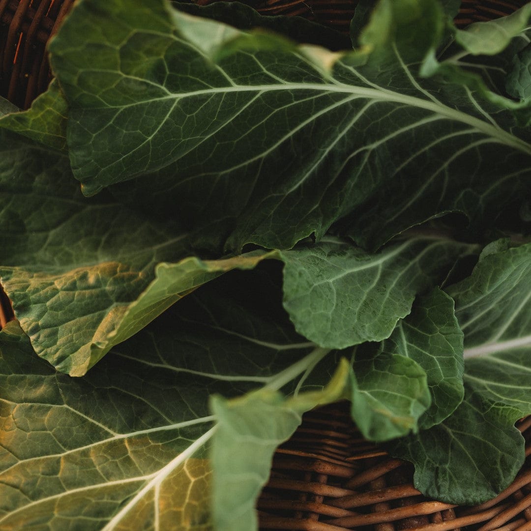 Morris Heading Collards