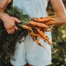 Nantes Carrot