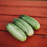 National Pickling Cucumber