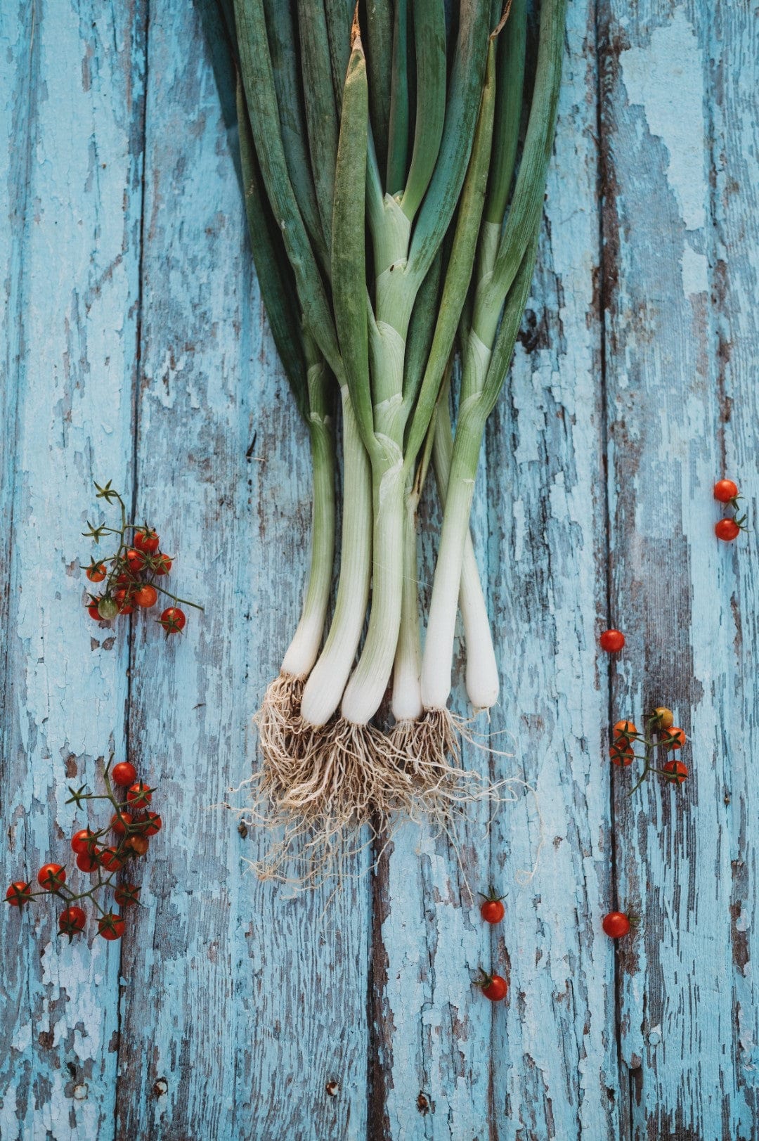 Natsuyo Green Onion