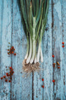 Natsuyo Green Onion