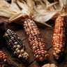 Northern Ute Flint Corn