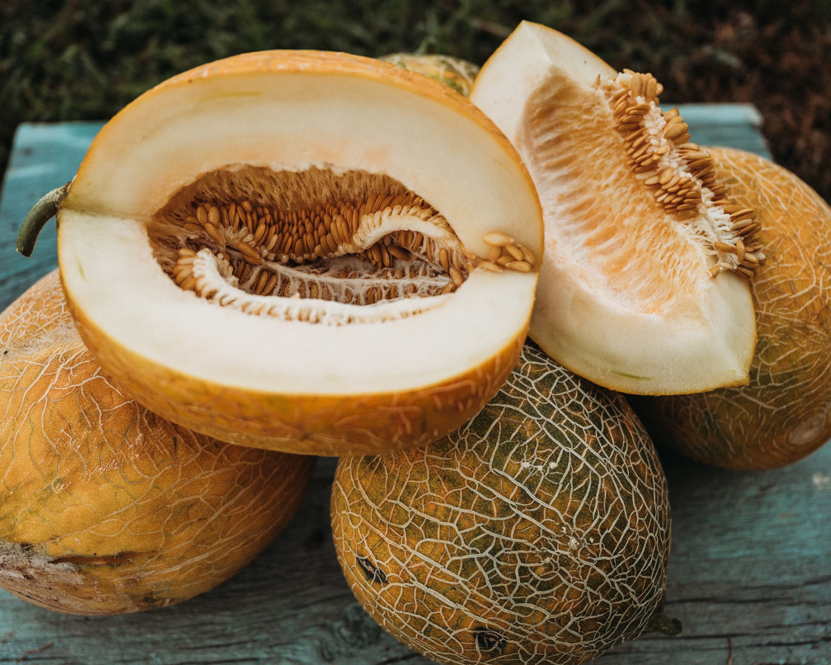 Old Original Israel Melon