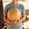 Old Original Israel Melon