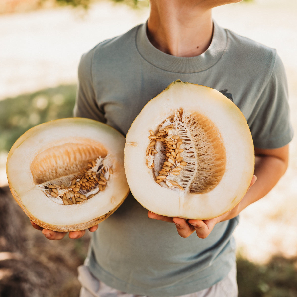 Old Original Israel Melon