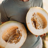 Old Original Israel Melon