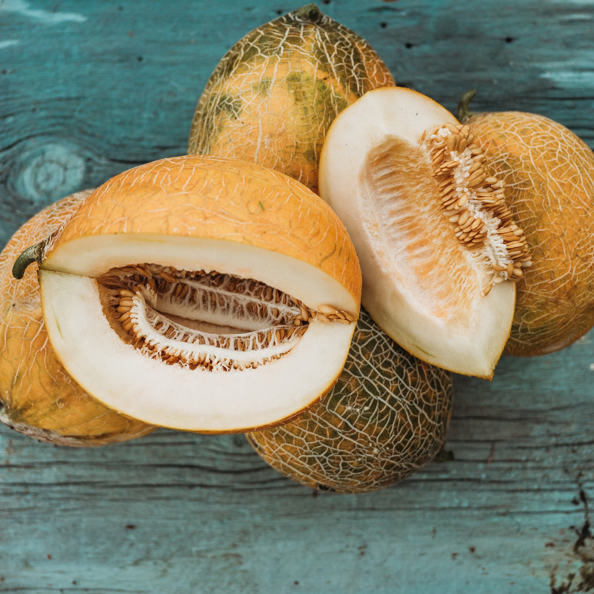 Old Original Israel Melon