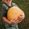 Old Original Israel Melon